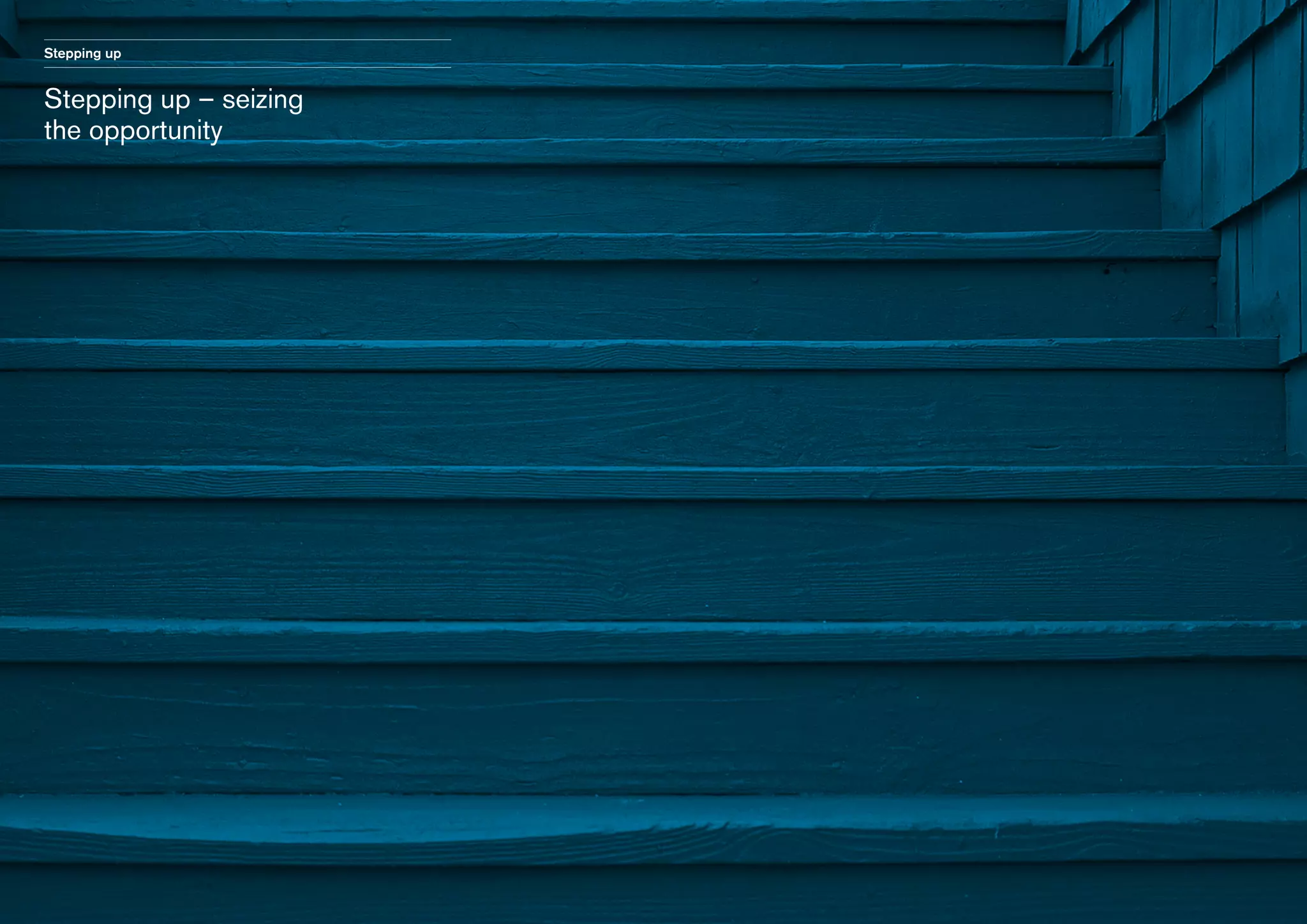 Stepping up

Stepping up – seizing
the opportunity

 