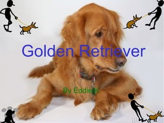 Golden Retriever By Eddie K. 