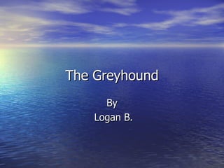 The Greyhound By Logan B. 