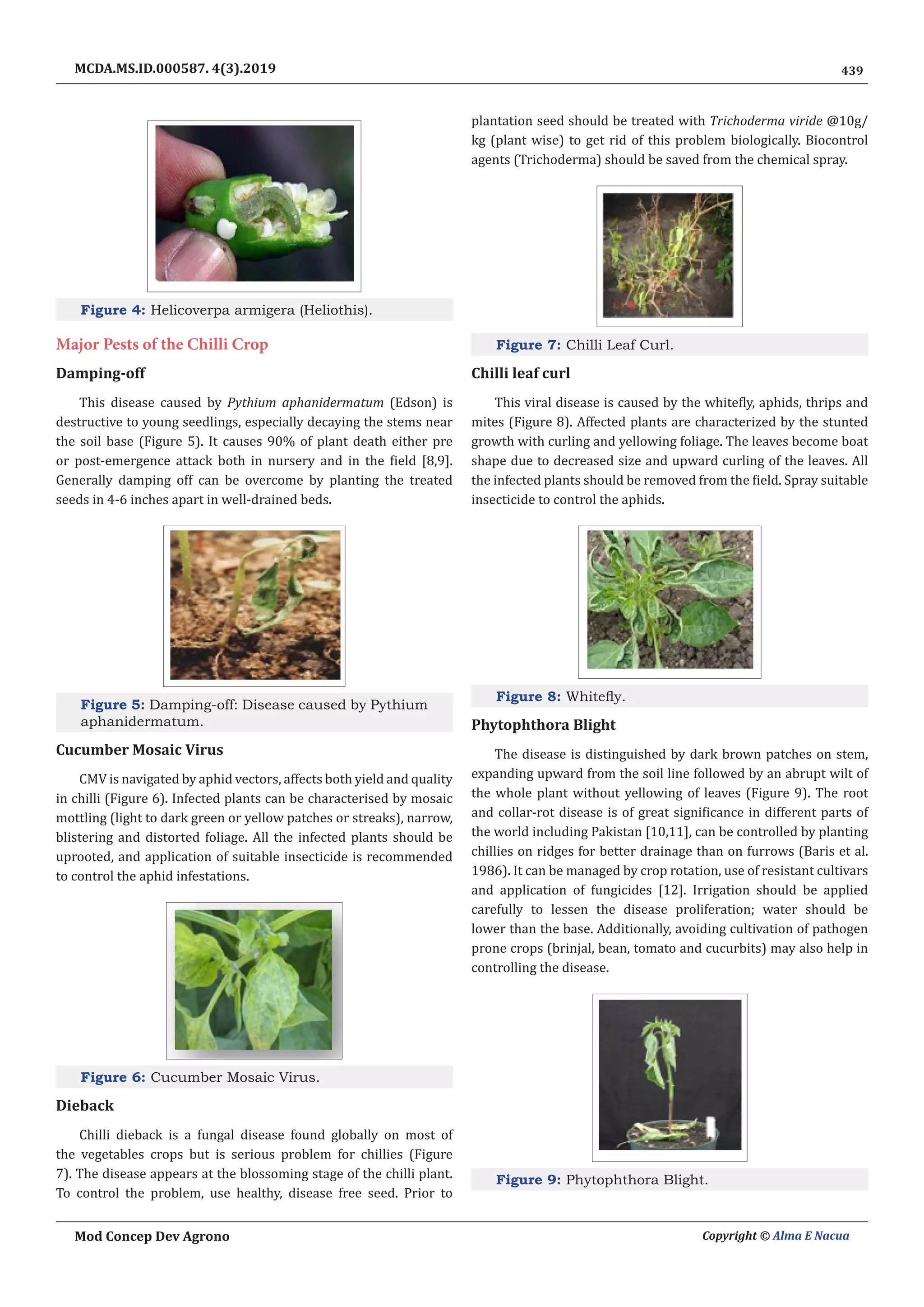 Chilli Production Guide.pdf Scenario of Chilli Production and Hindrances Faced by the Growers of ...
