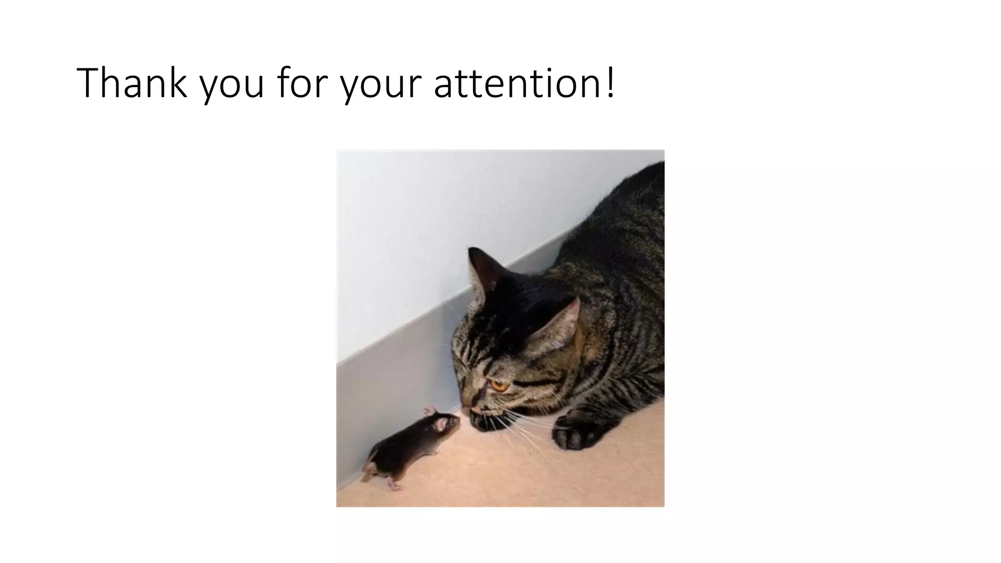 Thank&you&for&your&attention!
 