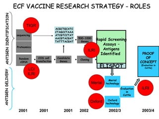 East Coast Fever Vaccine Frontier Research Project