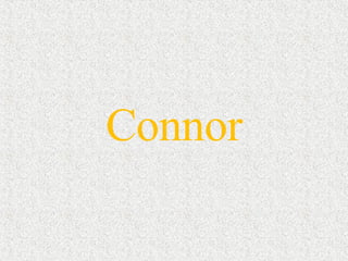 Connor 