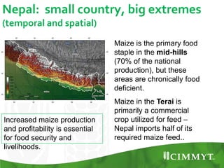 Maize example-CIMMYT/Nepal or CSISA