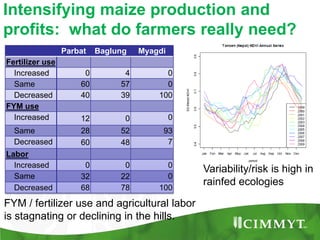Maize example-CIMMYT/Nepal or CSISA
