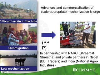 Maize example-CIMMYT/Nepal or CSISA
