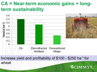 Maize example-CIMMYT/Nepal or CSISA