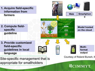 Maize example-CIMMYT/Nepal or CSISA