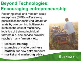 Maize example-CIMMYT/Nepal or CSISA