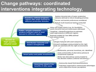 Maize example-CIMMYT/Nepal or CSISA