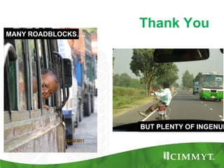 Maize example-CIMMYT/Nepal or CSISA