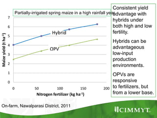 Maize example-CIMMYT/Nepal or CSISA