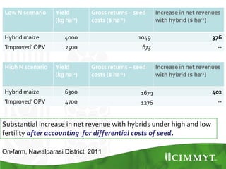 Maize example-CIMMYT/Nepal or CSISA