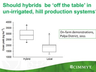Maize example-CIMMYT/Nepal or CSISA
