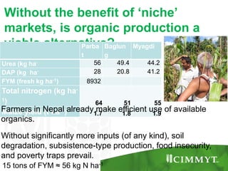 Maize example-CIMMYT/Nepal or CSISA