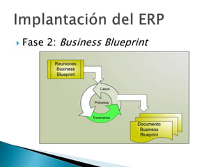  Fase 2: Business Blueprint
 