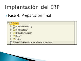 Fase 4: Preparación final
 