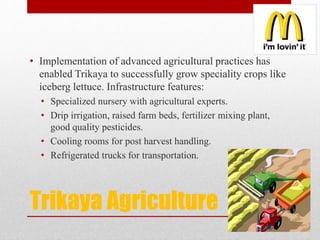 Trikaya Agriculture
• Implementation of advanced agricultural practices has
enabled Trikaya to successfully grow speciality crops like
iceberg lettuce. Infrastructure features:
• Specialized nursery with agricultural experts.
• Drip irrigation, raised farm beds, fertilizer mixing plant,
good quality pesticides.
• Cooling rooms for post harvest handling.
• Refrigerated trucks for transportation.
 