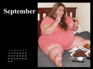 September




 1   2   3   4   5   6   7
 8   9 10 11 12 13 14
 15 16 17 18 19 20 21
 22 23 24 24 26 27 28
 29 30
 