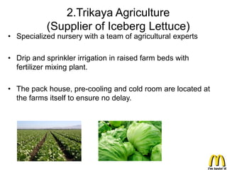 2.Trikaya Agriculture
           (Supplier of Iceberg Lettuce)
• Specialized nursery with a team of agricultural experts

• Drip and sprinkler irrigation in raised farm beds with
  fertilizer mixing plant.

• The pack house, pre-cooling and cold room are located at
  the farms itself to ensure no delay.
 