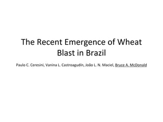 The	
  Recent	
  Emergence	
  of	
  Wheat	
  
Blast	
  in	
  Brazil	
  
	
  
Paulo	
  C.	
  Ceresini,	
  Vanina	
  L.	
  Castroagudín,	
  João	
  L.	
  N.	
  Maciel,	
  Bruce	
  A.	
  McDonald	
  
 