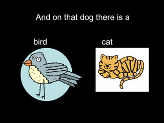 And on that dog there is a bird  cat   
