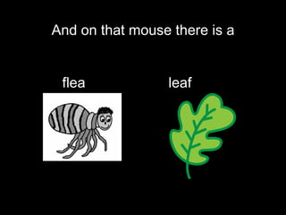 And on that mouse there is a flea  leaf  