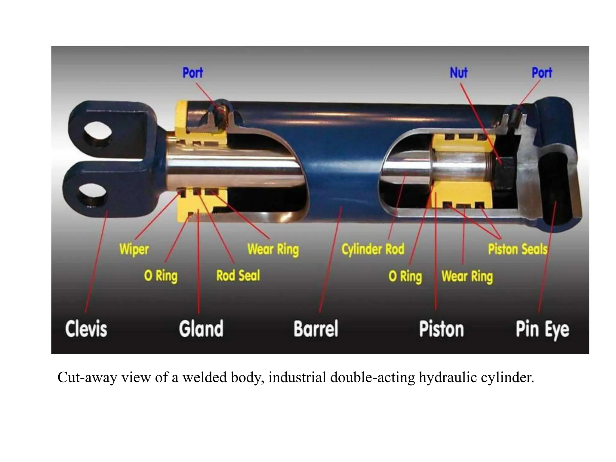 Cut-away view of a welded body, industrial double-acting hydraulic cylinder.
 