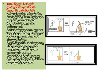 • 1880 წელს ჩარლზ
დარვინმა და მისმა
შვილმა ფრენსისმა
გამოაქვეყნეს ანგარიში,
რომელშიც მათ აღწერეს,
თუ როგორ იხრება
ბალახის ნათესარი
სინათლის
მიმართულებით. უფრო
ზუსტად, მათ ეს რეაქცია
გამოიკვლიეს ძალიან
ახალგაზრდა
მცენარეებში, რომლებიც
ახალგაღივებულები
იყვნენ და რომელთა
ფოთლებიცა და
ყლორტიც ჯერ კიდევ
იყო დაფარული გარსით
კოლეოპტილეთი.
 
