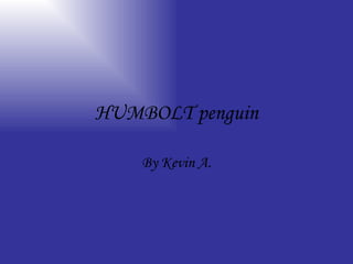 HUMBOLT penguin By Kevin A. 