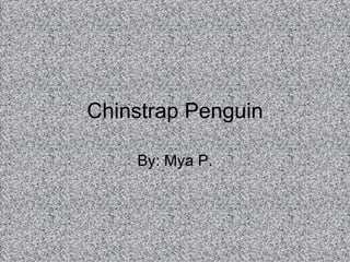 Chinstrap Penguin By: Mya P. 