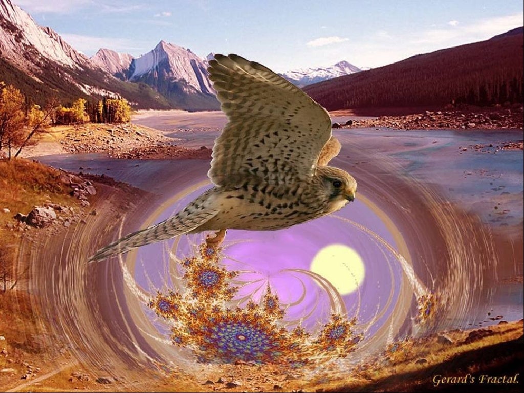 mc fantastiques oiseaux 1 pps andre desjardins mc fantastiques oiseaux 1 pps andre desjardins