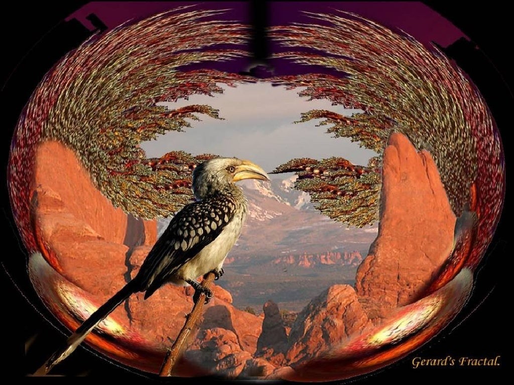 mc fantastiques oiseaux 1 pps andre desjardins mc fantastiques oiseaux 1 pps andre desjardins