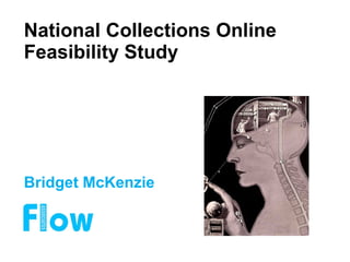 National Collections Online Feasibility Study Bridget McKenzie 