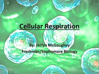Cellular Respiration
By: Jaclyn McGaughey
Freshman/Sophomore Biology
 