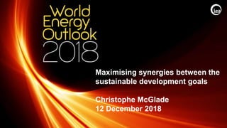 © OECD/IEA 2018
Maximising synergies between the
sustainable development goals
Christophe McGlade
12 December 2018
 