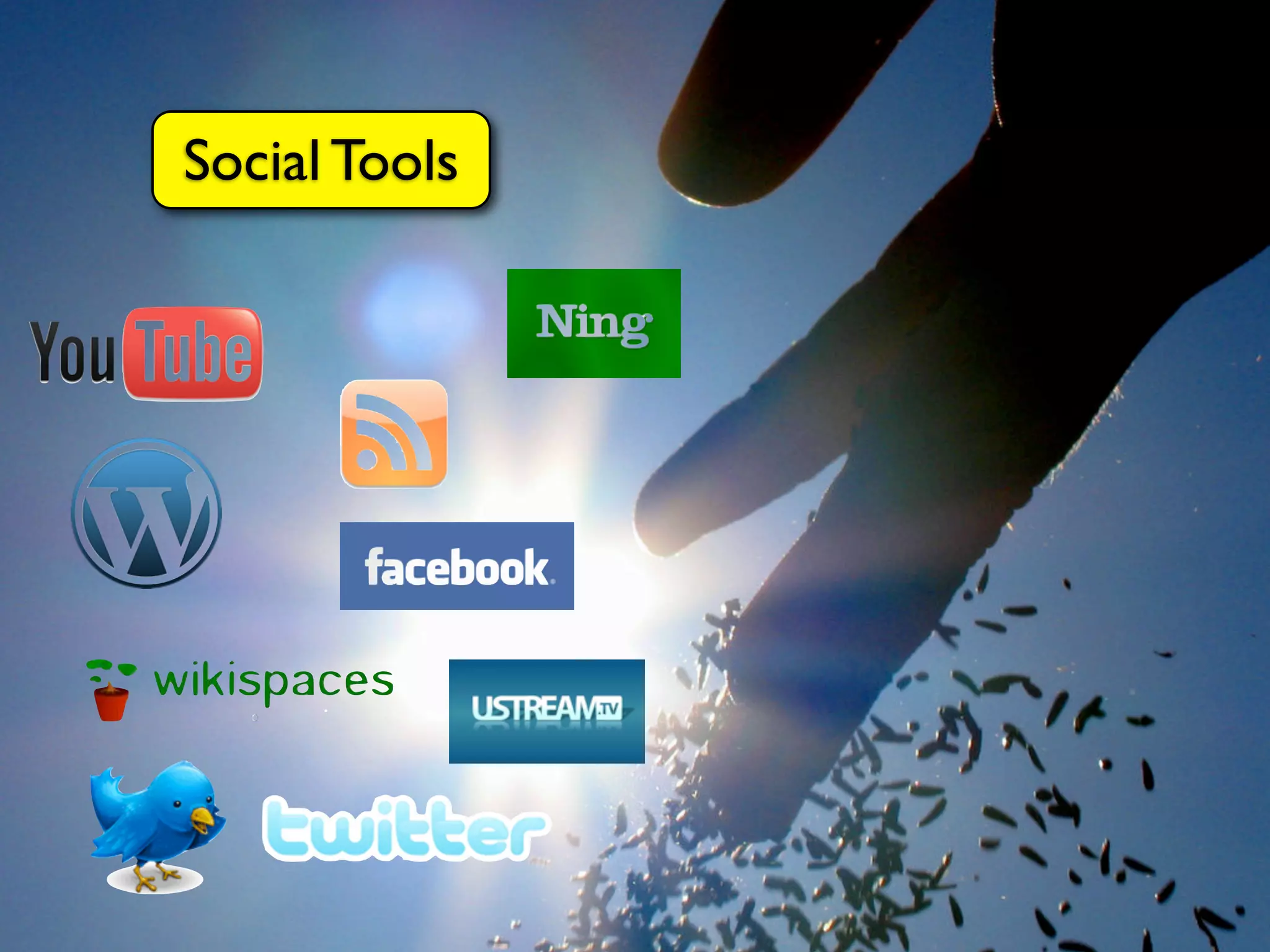 Social Tools
 