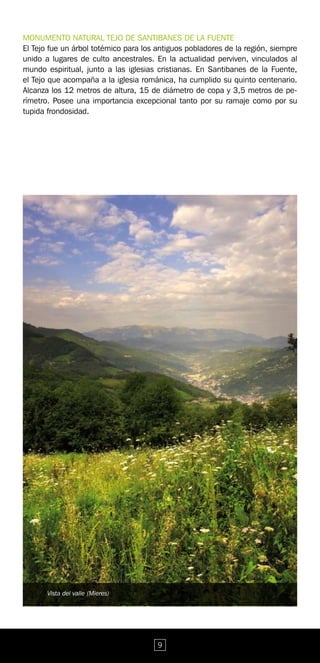 MONUMENTO NATURAL TEJO DE SANTIBANES DE LA FUENTE
El Tejo fue un árbol totémico para los antiguos pobladores de la región, siempre
unido a lugares de culto ancestrales. En la actualidad perviven, vinculados al
mundo espiritual, junto a las iglesias cristianas. En Santibanes de la Fuente,
el Tejo que acompaña a la iglesia románica, ha cumplido su quinto centenario.
Alcanza los 12 metros de altura, 15 de diámetro de copa y 3,5 metros de pe-
rímetro. Posee una importancia excepcional tanto por su ramaje como por su
tupida frondosidad.




       Vista del valle (Mieres)




                                       9
 