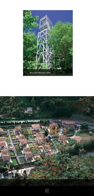 Pozo San Fernando (Aller)




                  21
 