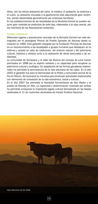 Otras, con los oficios artesanos del vidrio, la madera, el azabache, la cerámica y
el cuero. La artesanía vinculada a la gastronomía está adquiriendo gran renom-
bre, siendo desarrollada generalmente por empresas familiares.
En los establecimientos de las localidades de la Montaña Central se pueden ad-
quirir gran variedad de productos de todo tipo, elaborados a la vieja usanza, por
los miembros de las Asociaciones existentes.

PUEBLO EJEMPLAR
Diferentes lugares y asociaciones vecinales de la Montaña Central han sido dis-
tinguidos por el prestigioso Premio de Pueblo Ejemplar de Asturias desde su
creación en 1990. Este galardón otorgado por la Fundación Príncipe de Asturias
es un reconocimiento a las localidades o grupos humanos que destaquen en la
defensa y puesta en valor de tradiciones, del entorno natural y del patrimonio
cultural, histórico y artístico junto a la realización de obras comunales o de so-
lidaridad.
La comunidad de Xomezana y el Valle del Güerna del concejo de Lena fueron
premiados en 1998 por su espíritu solidario y su capacidad para recuperar su
patrimonio cultural y ecológico. Su adaptación de las formas ganaderas tradicio-
nales ha permitido la permanencia de la raza asturiana de los valles. En el año
2002 el galardón fue para la Hermandad de la Probe y comunidad vecinal de la
Foz en Morcín. Se reconoció su iniciativa para dinamizar actividades tradicionales
con elementos de innovación de la vida económica, social y cultural.
En el año 2007 fue premiada la Sociedad Humanitarios de San Martín y el
pueblo de Moreda en Aller. La capacidad y determinación mostrada por ambos
ha permitido enriquecer el importante legado cultural demostrado en las fiestas
celebradas el 11 de noviembre declaradas de Interés Turístico Nacional.




Vaca Asturiana de los Valles



                                       28
 