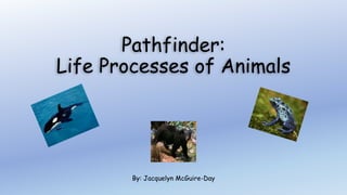 Pathfinder:
Life Processes of Animals
By: Jacquelyn McGuire-Day
 