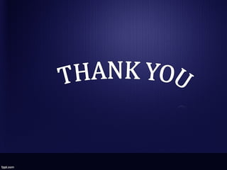 Mch Program Offered by Texila American University