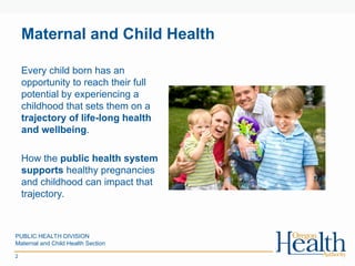 Comprehensive Overview of Maternal and Child Health Programs and ...