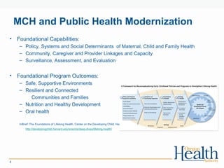 Comprehensive Overview of Maternal and Child Health Programs and ...