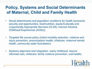 Comprehensive Overview of Maternal and Child Health Programs and ...