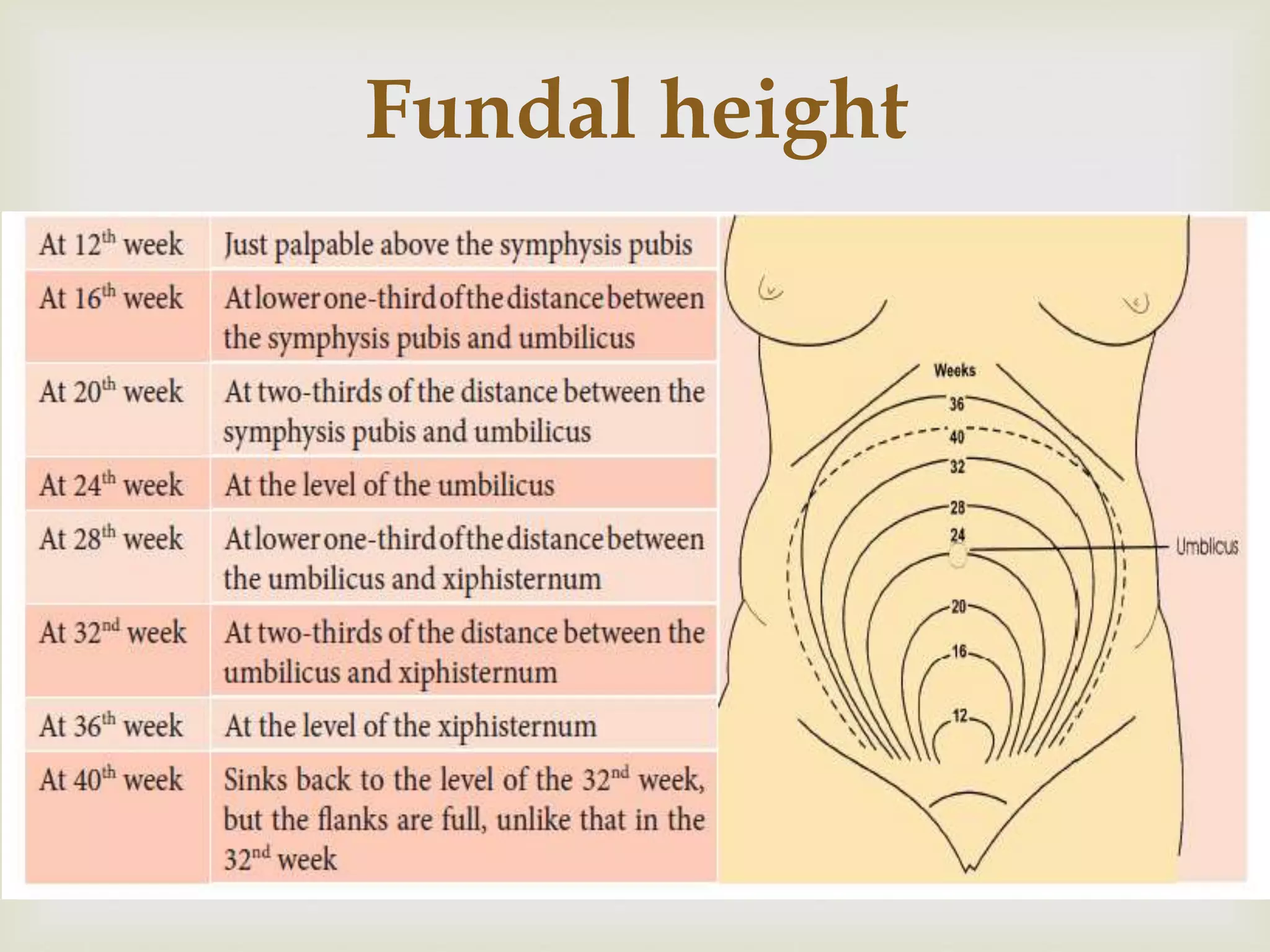 Antenatal & Postnatal Care | PPT