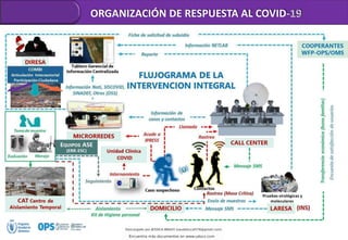 Pruebas virológicas y
moleculares
ORGANIZACIÓN DE RESPUESTA AL COVID-19
 