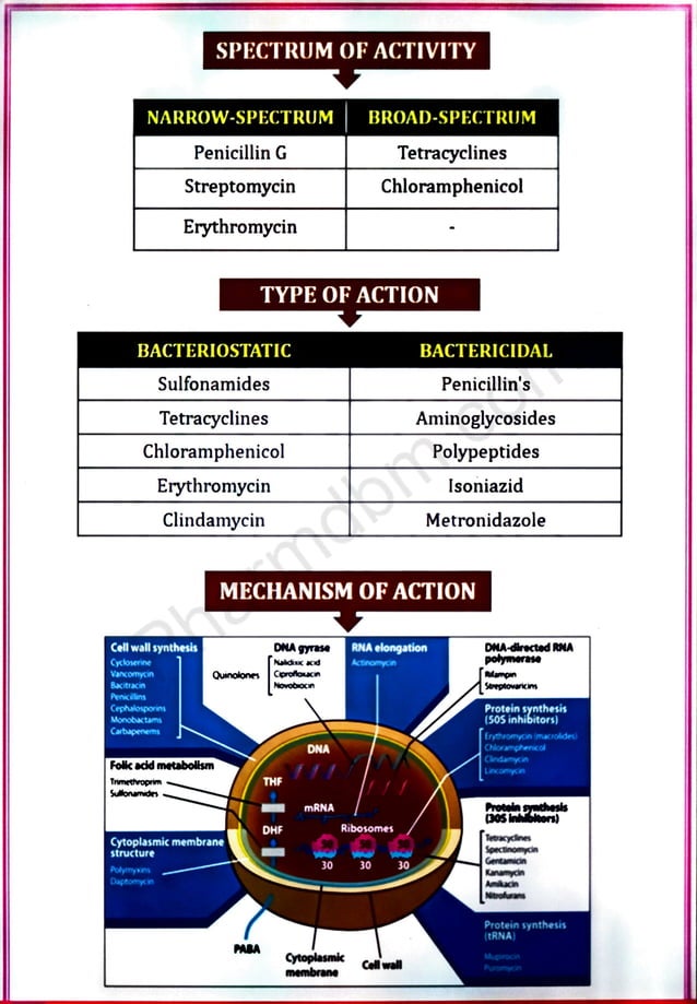 Medicinal chemistry III Unit no 1 -Antibiotics | PDF