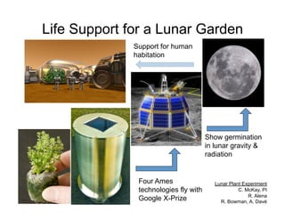 Life Support for a Lunar Garden
              Support for human
              habitation




                                       Show germination
                                       in lunar gravity &
                                       radiation


               Four Ames                  Lunar Plant Experiment
               technologies fly with                C. McKay, PI
                                                        R. Alena
               Google X-Prize               R. Bowman, A. Davé
 