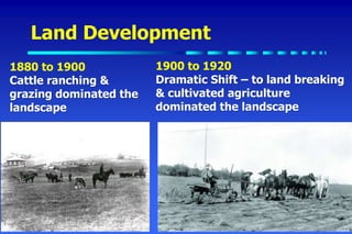 Land Development
1880 to 1900
Cattle ranching &
grazing dominated the
landscape
1900 to 1920
Dramatic Shift – to land breaking
& cultivated agriculture
dominated the landscape
 